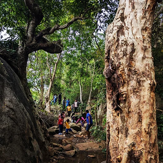 Trekking Streamside