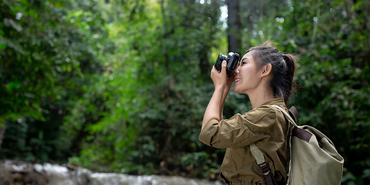 Birdswatching