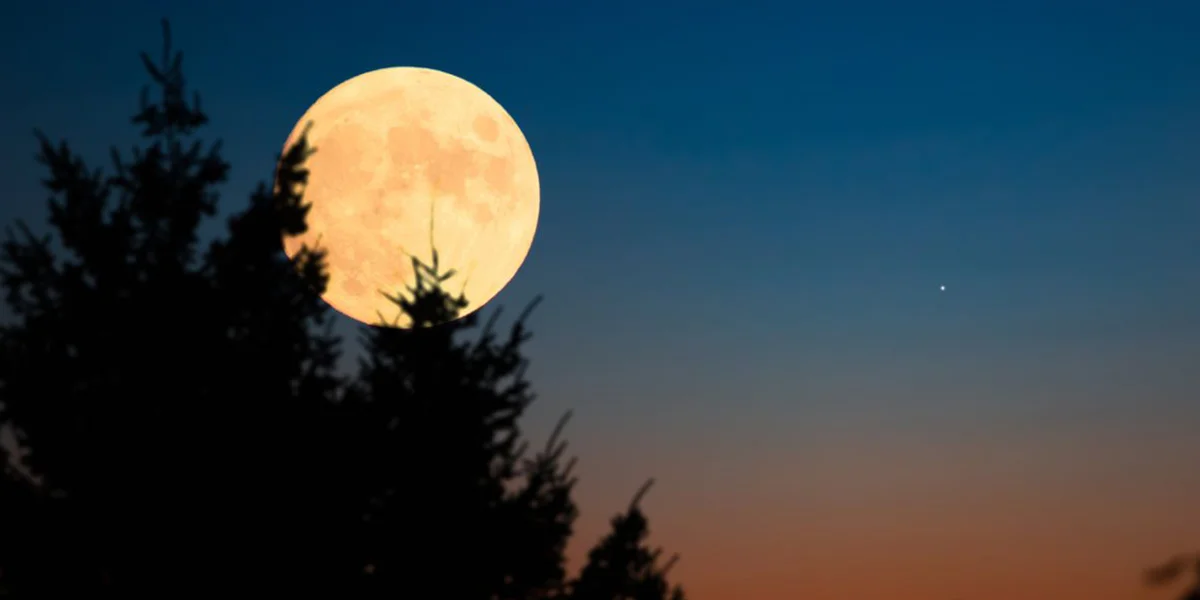 Star Gazing for Sturgeon Moon