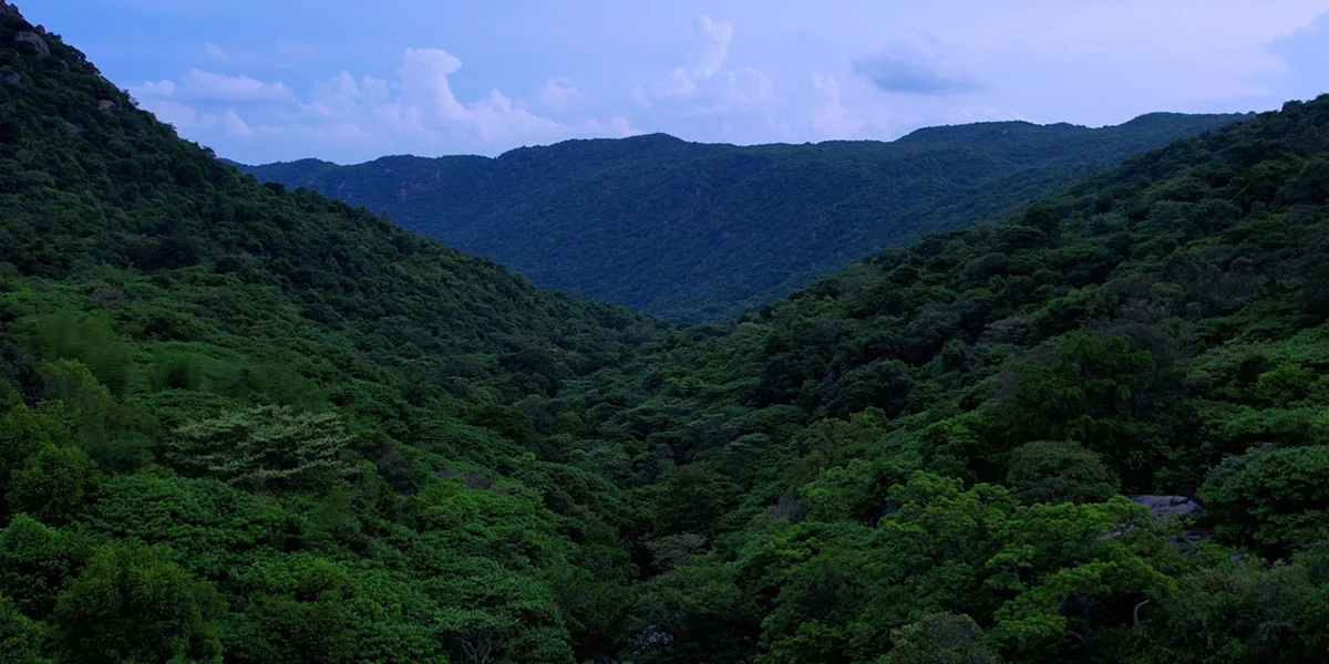 Trek in Yelagiri, Jalagamparai Trek