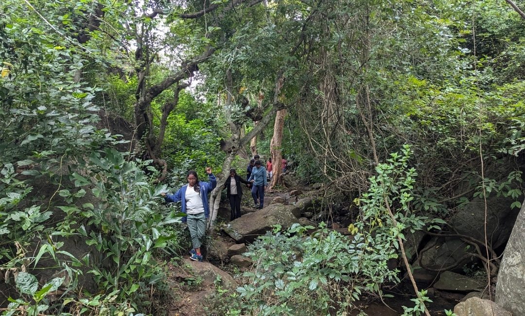Yelagiri Trekking